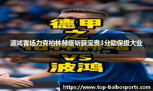 百博体育公司